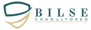 Bilse Consultores